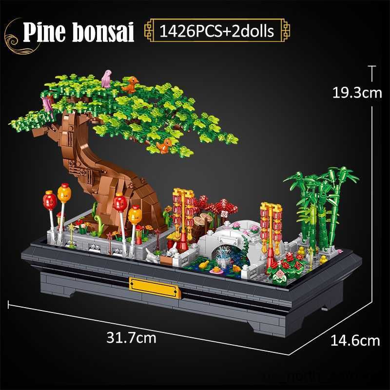 Pine Bonsai