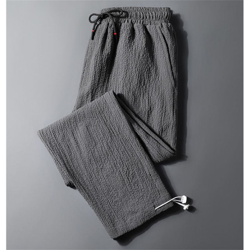 03 pantalon gris