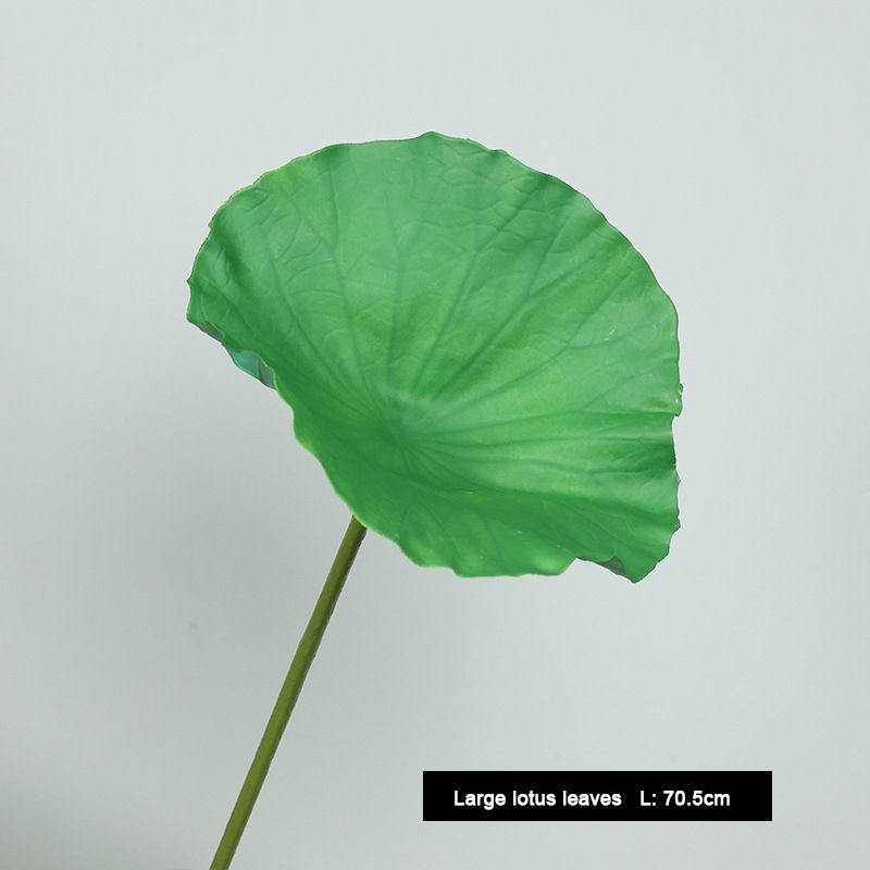 big lotus leaves