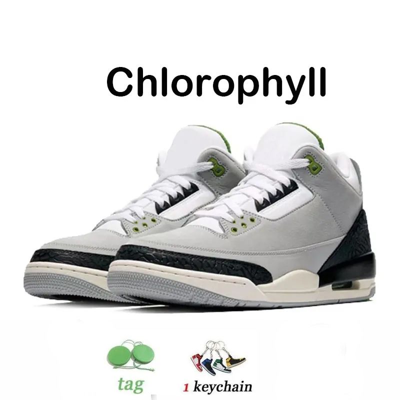 clorofila