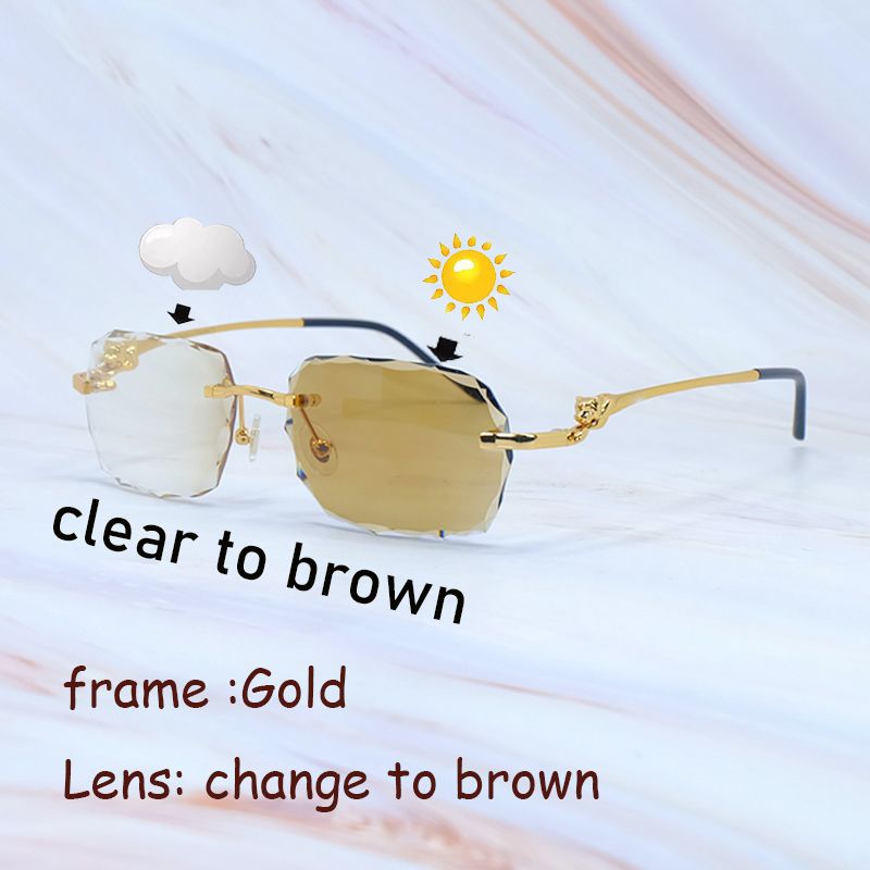 0281 Photochromic Gold Brown