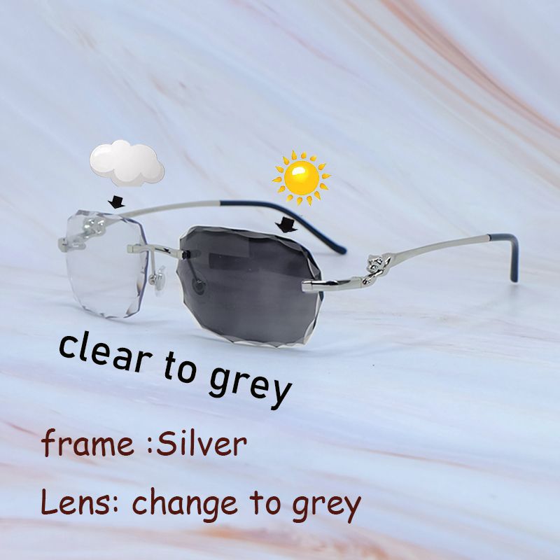 0281 Photochromic Silver Grey