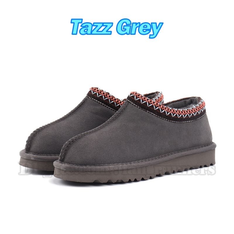 25 Gris Tazz