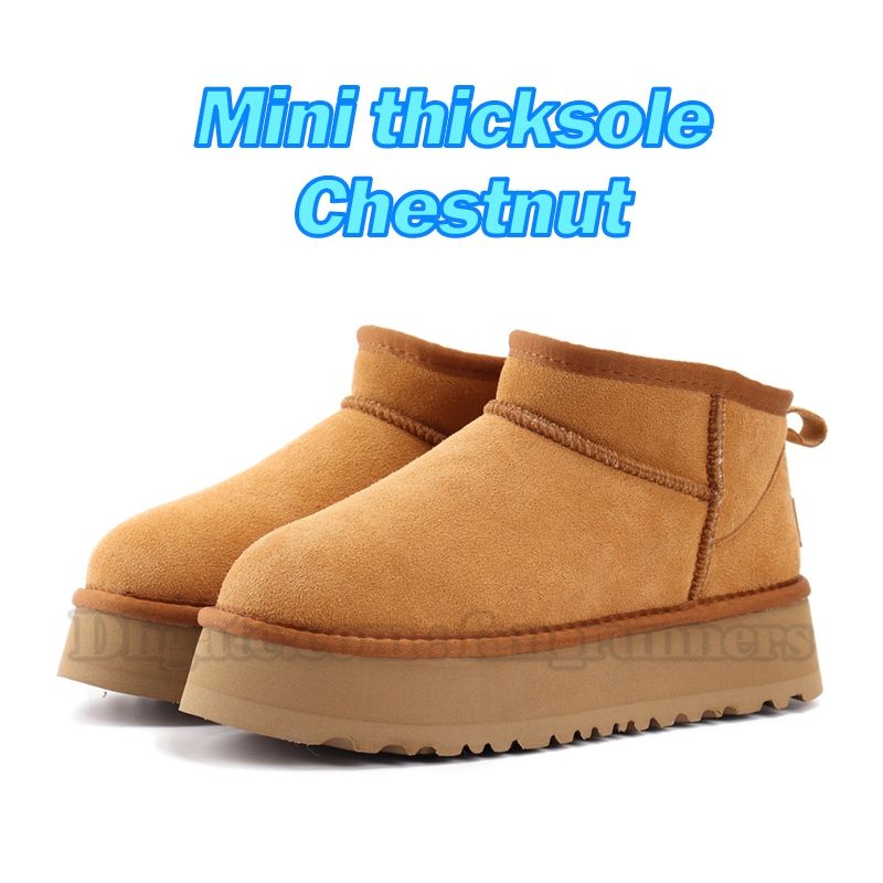 13 Mini thicksole Chestnut