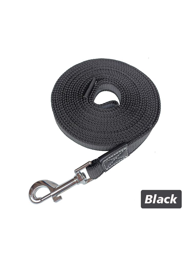 Black Dog Leash