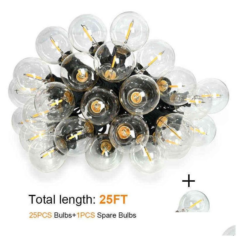 LED 25FT-EU Plug