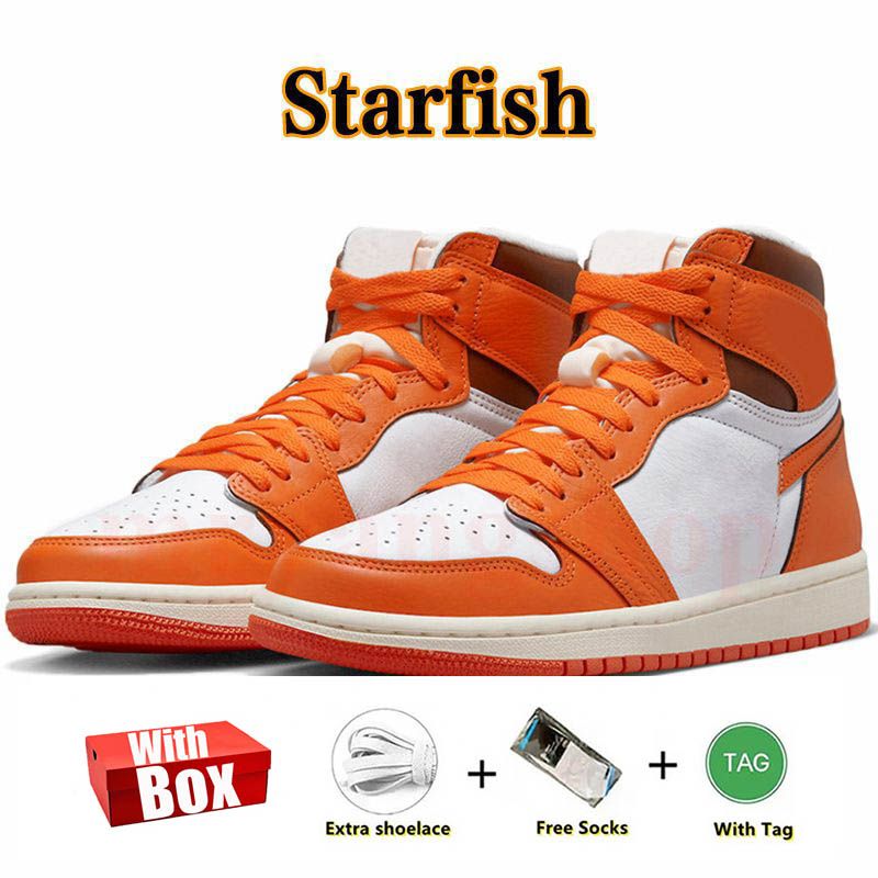 B1 Starfish