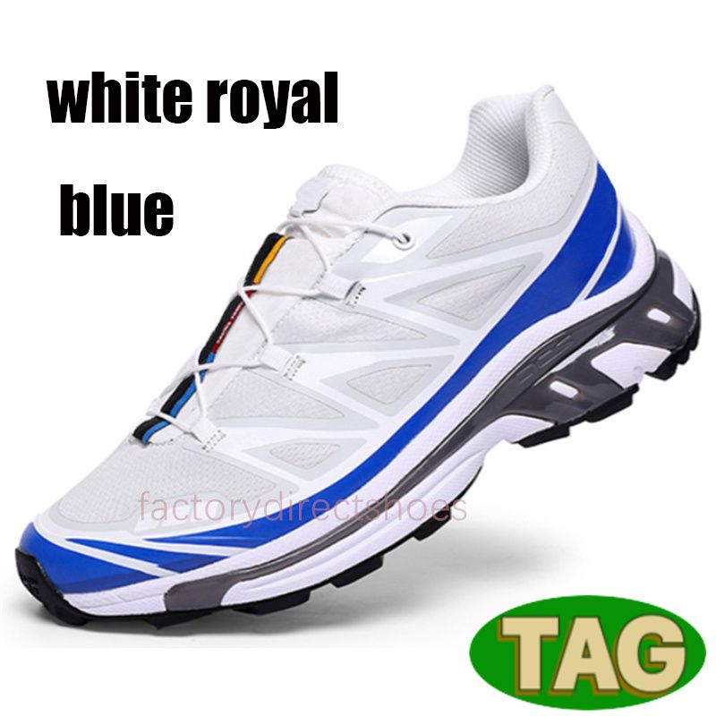 25 azul royal branco
