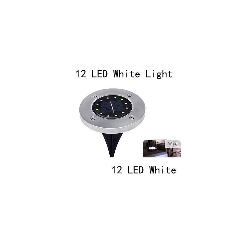 12 LED blanc froid