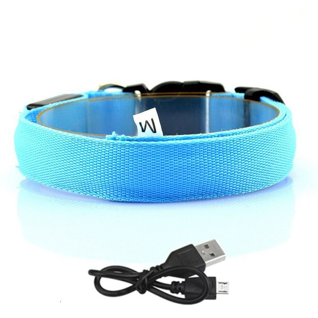 Blue Usb Charging