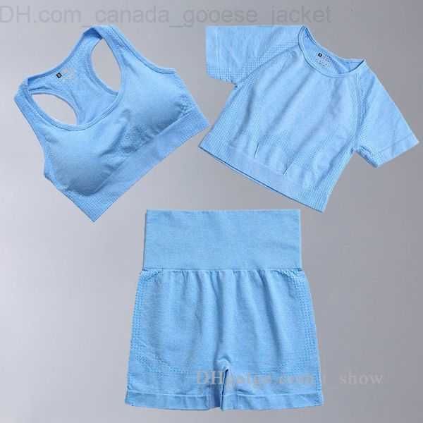 c12(blue 3pcs)