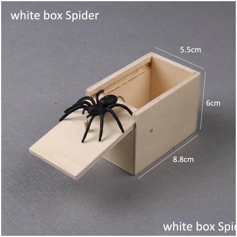 White Box Spider