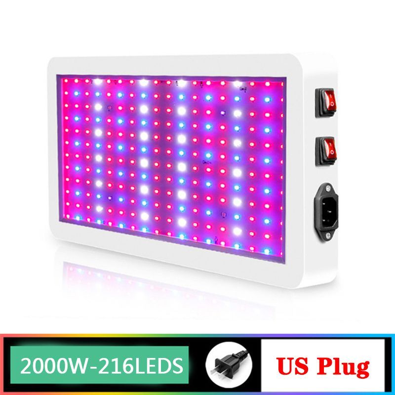 216Leds-2000W-US 플러그