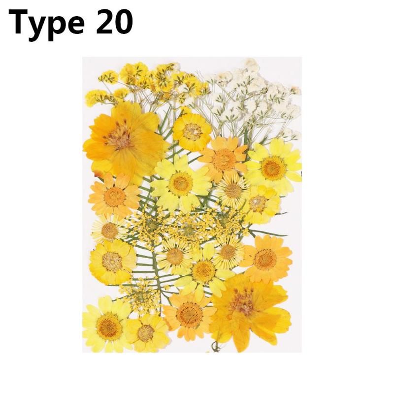 Type 20