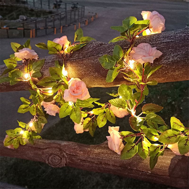 8-champagne rose-10m 100LEDS