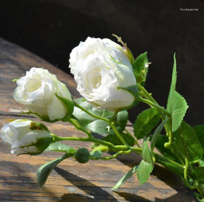 white rose