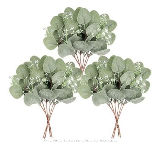 8-leaf Eucalyptus fruit