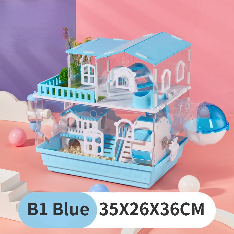 B1 Bleu