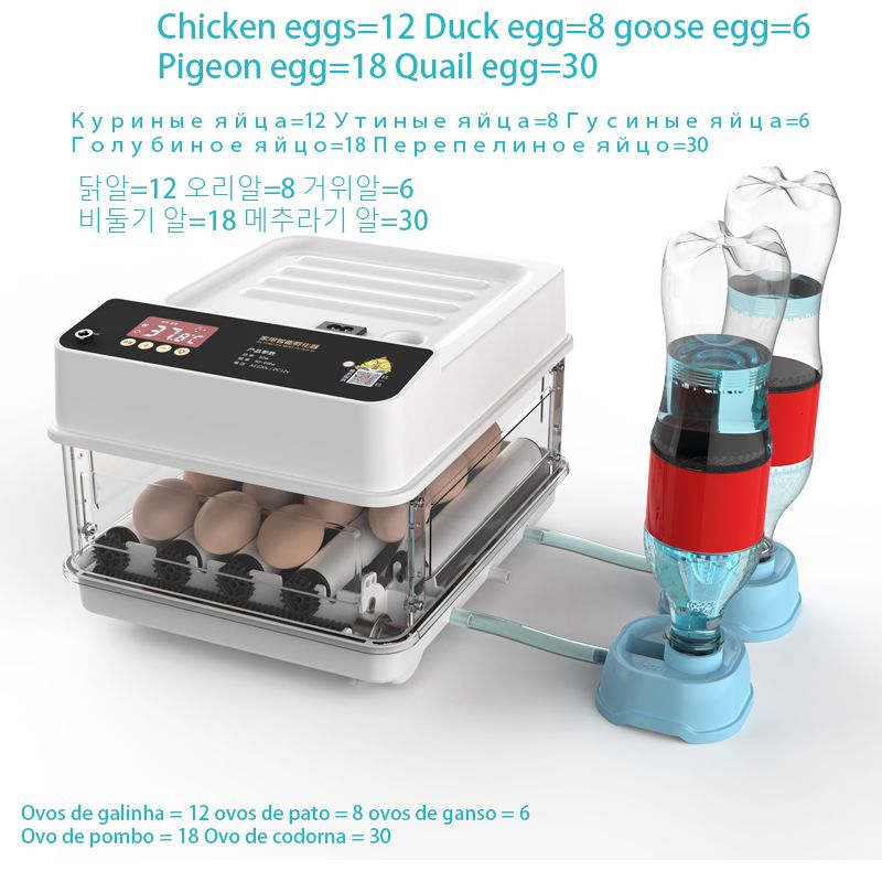 12個の卵インキュベーター-USプラグ