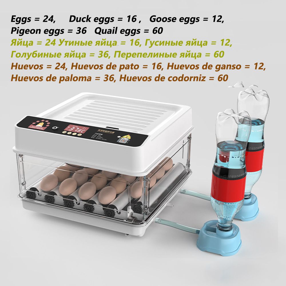 24 Eieren Incubator-Us-stekker