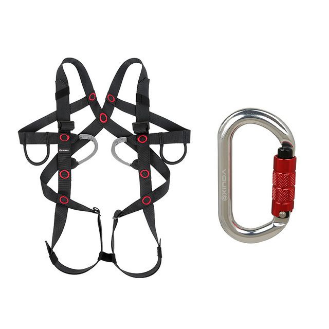 Harness Carabiner