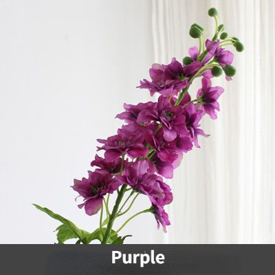 Purple-1PC