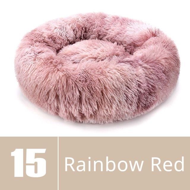 Rainbow Red-XS-40cm