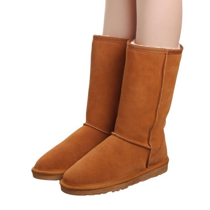 UGG5815 315