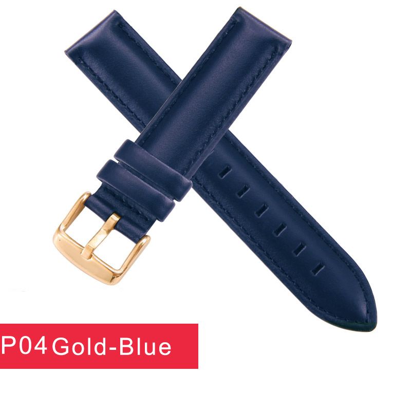 Blauw-gouden gesp-22 mm