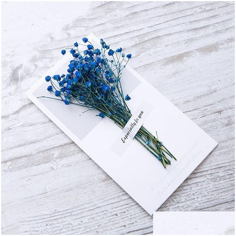 Gypsophila Blue