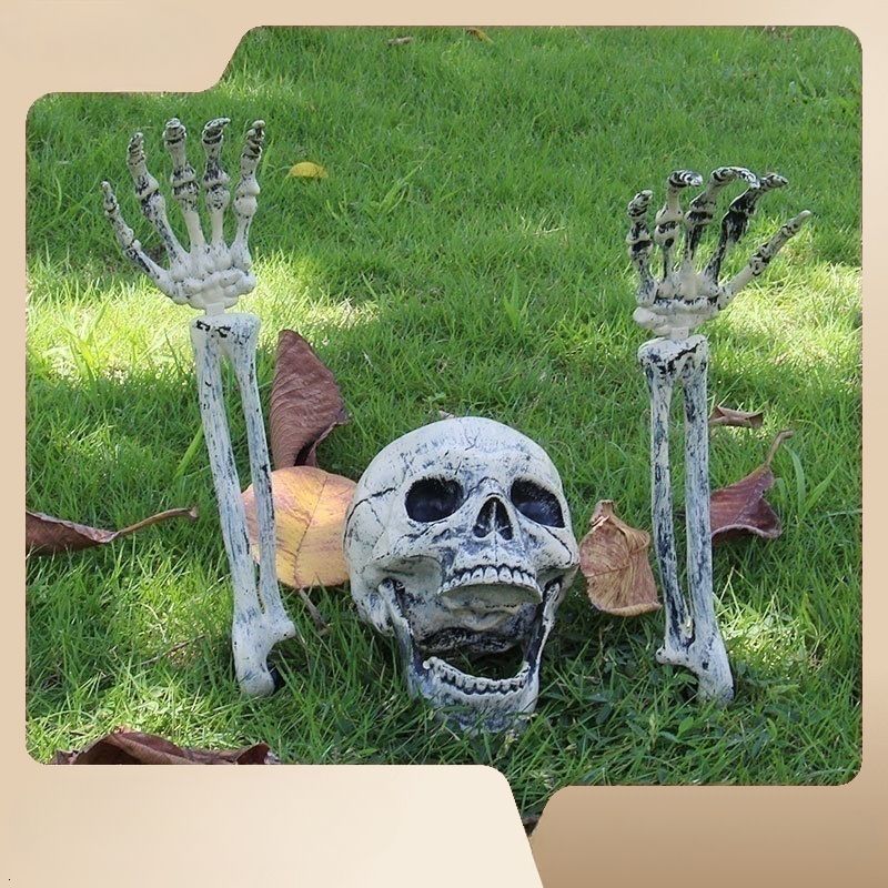 Skeleton Set 3pcs