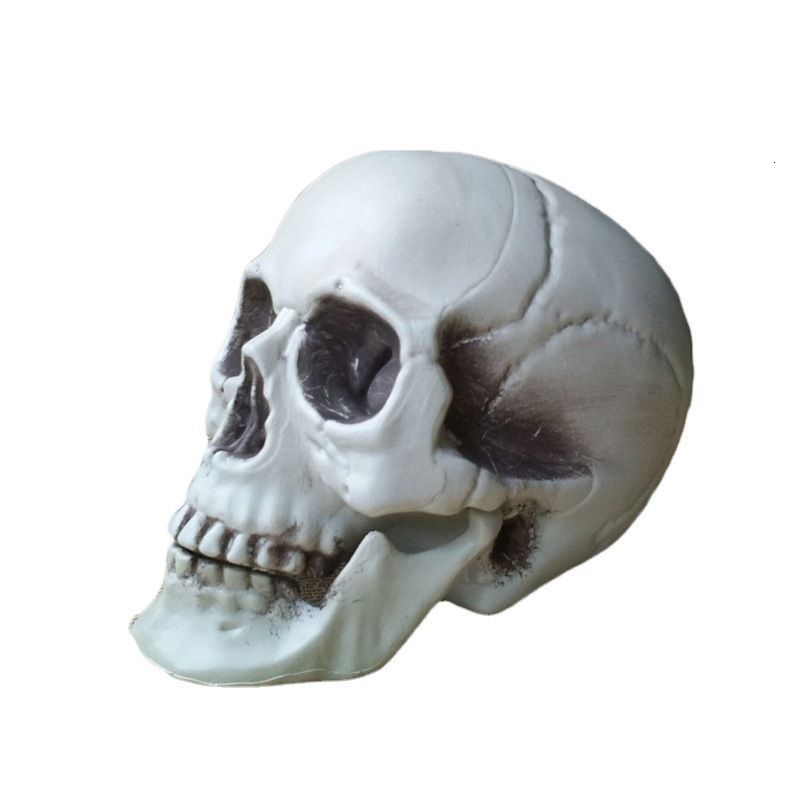 15cm Skull Head