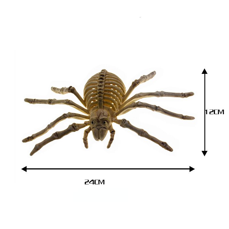 aranha