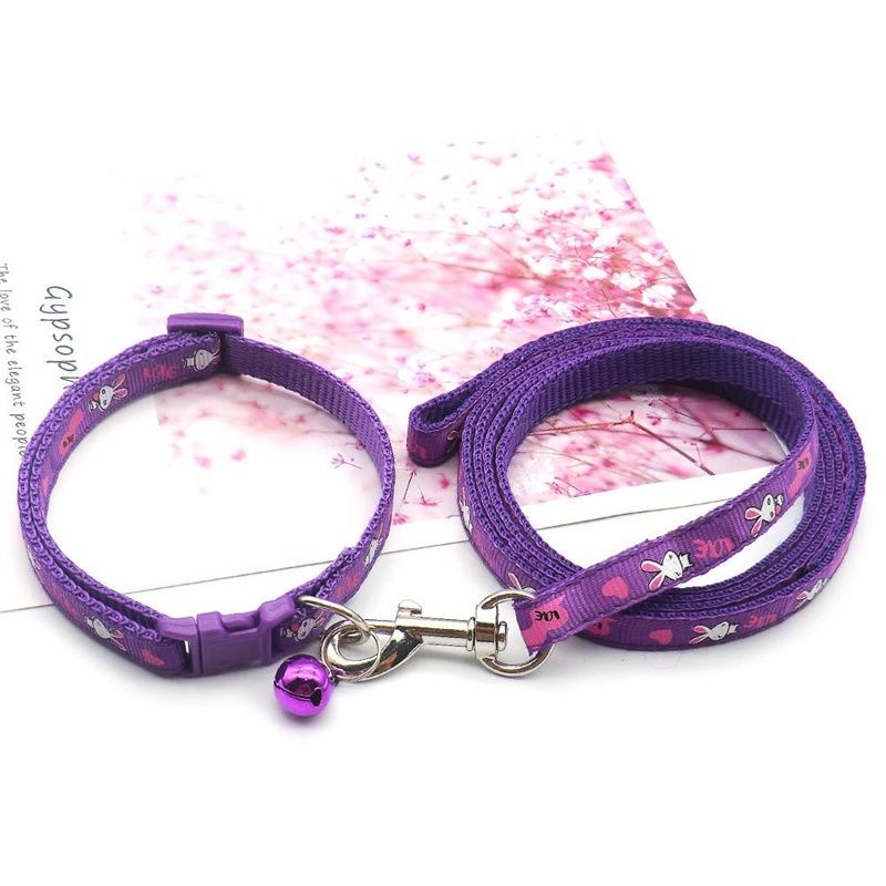 Conjunto roxo