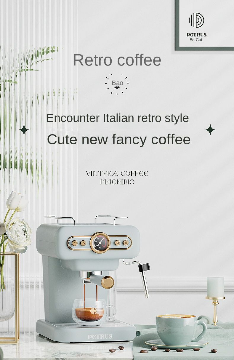 Italian Automatic Coffee Machine Household Small Fancy Milk Foam
