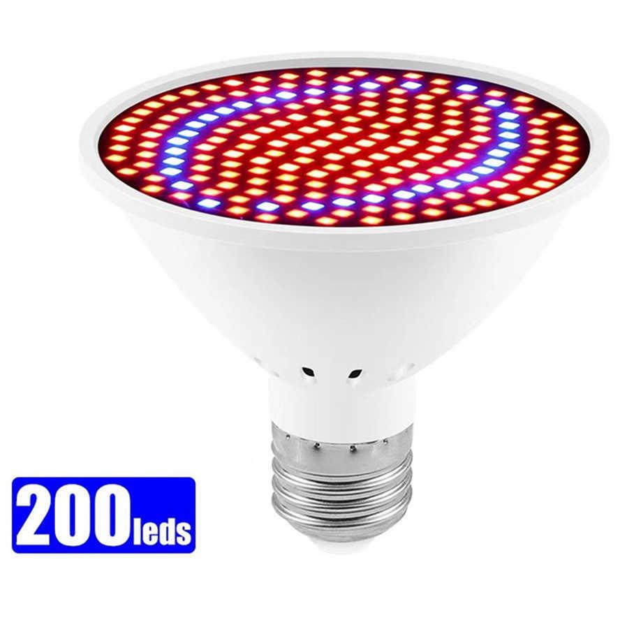 200LED