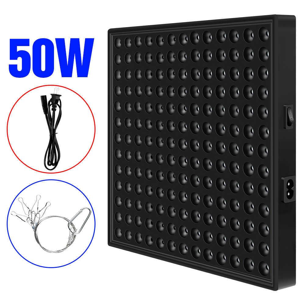 50w-169led