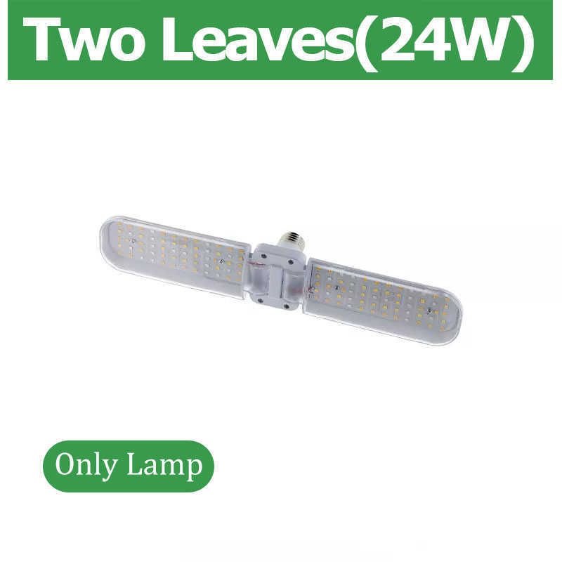 2 leaves only lamp