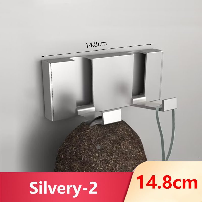 Silvery 2 Hook