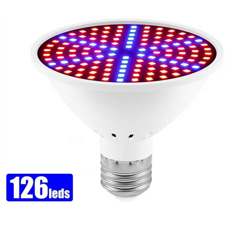 126LED