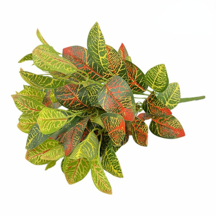 Alterniferous leaf