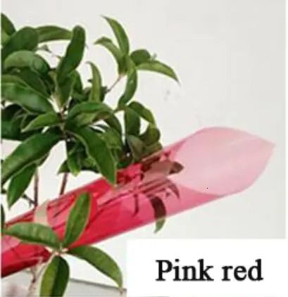 roze rood