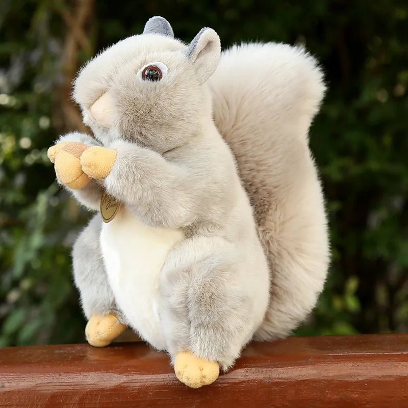 Squirrel grigio