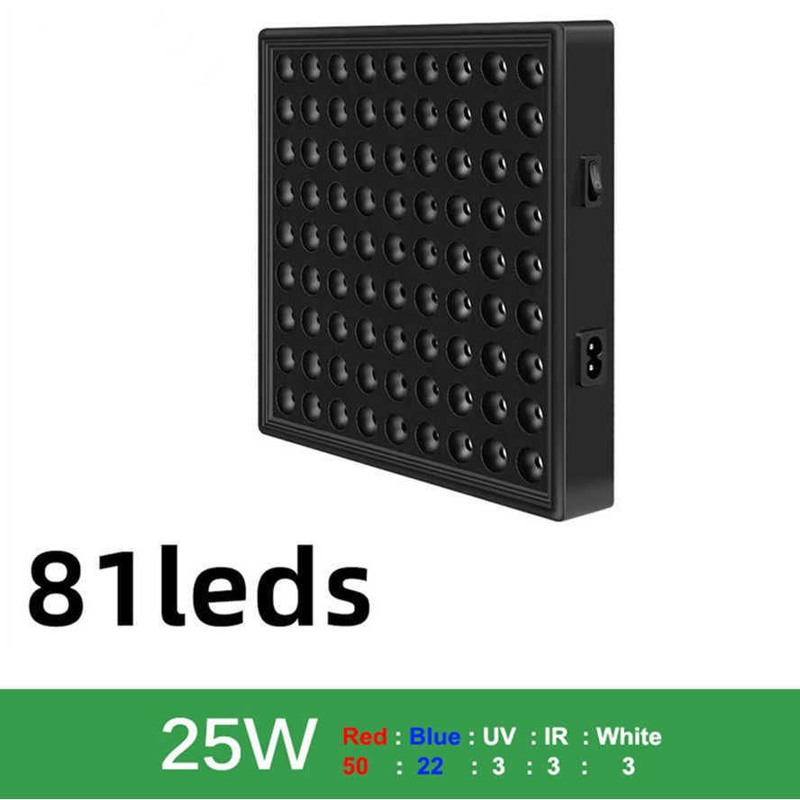 25W-81LED