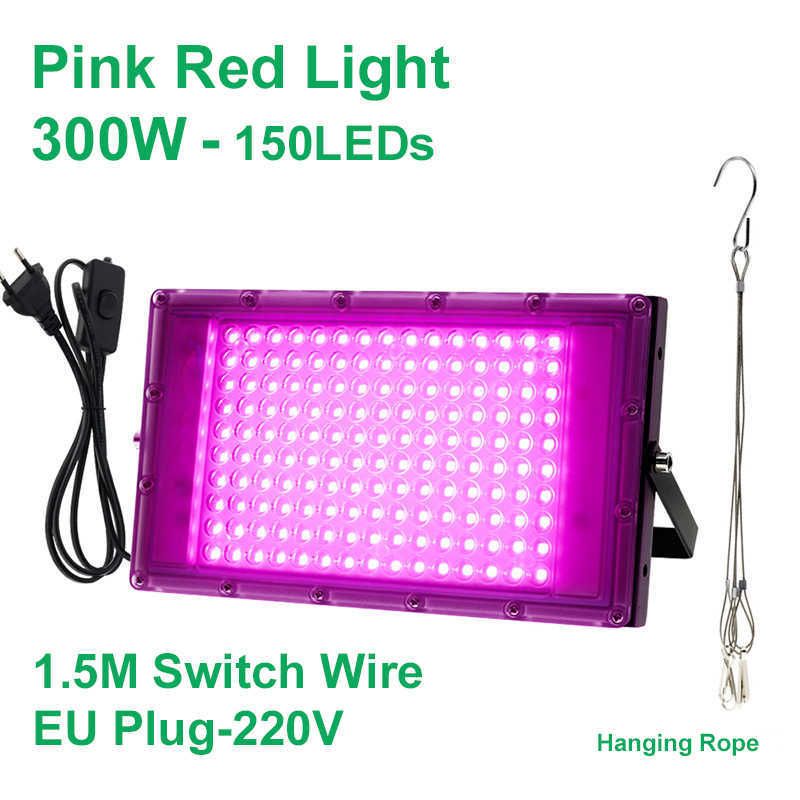 Pink2 300W EUプラグ