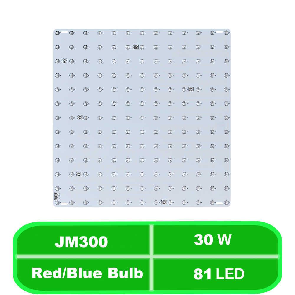 JM300-81LED