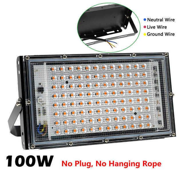 100w no plug