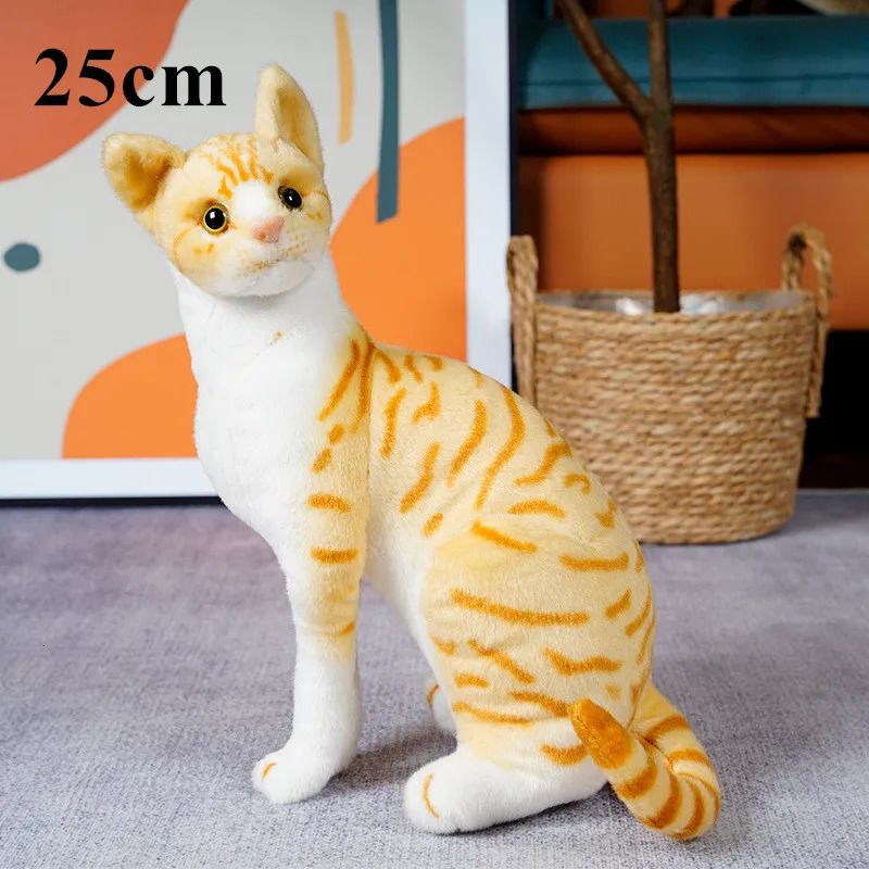 25cm sit orange