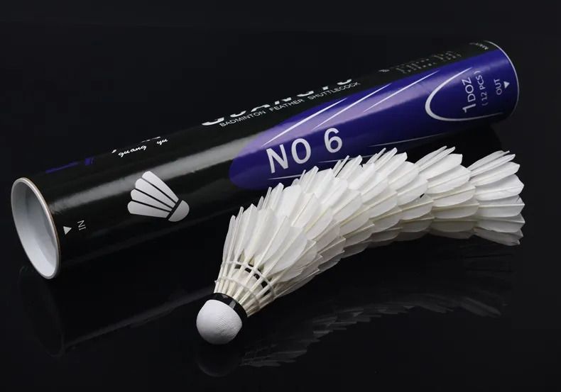 No 6 Badminton