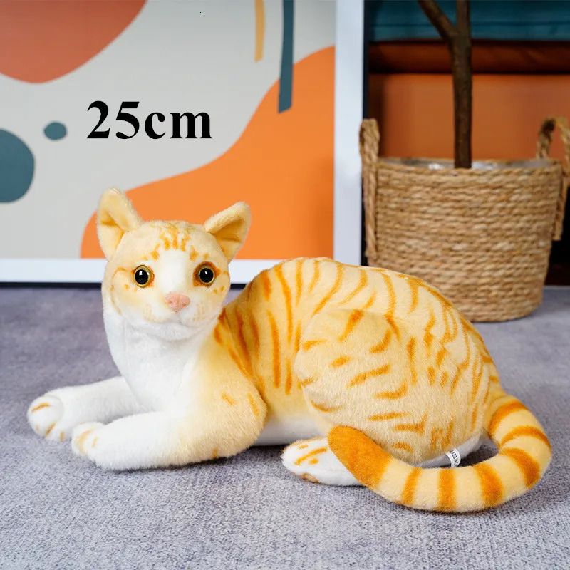 25cm lying orange